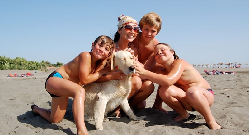 al mare con i cani