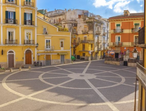 carpino