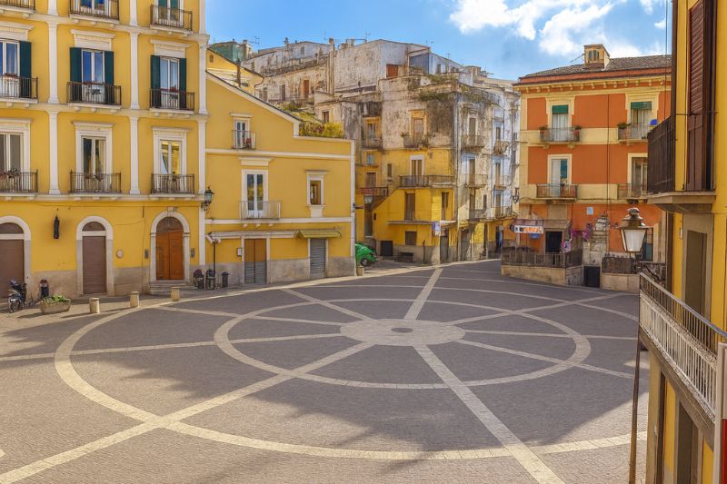 carpino
